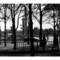 Paris_1_tif_tif