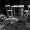 The_garden_3