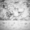Transitory_5