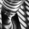 Sun_shadows_1