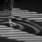 Sun_shadows_3