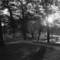 Deering_park_sun