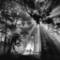 Lightscape_1