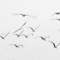 In_flight