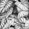 White_leaves