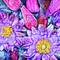 Summer_frost_peony