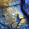 Hawaii_blue_875