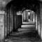 Carib_arches