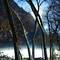 Winter_walk