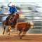 Rodeo_impressions