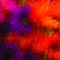 Oglebay_fall_flowers