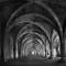 The_cellarium