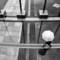 Homo_urbanicus_10