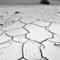 Bone_dry
