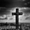 The_cross
