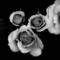 Modern_floral