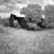 Old_barn