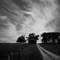 Farm_near_moshava