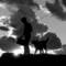 Coming_home