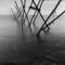 Poplar_pier_after_the_storm
