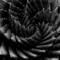 Spiral