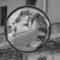 The_reflection
