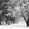 Liberty_park_snowstorm