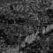 San_francisco_housing