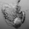 Immersion_dances_01