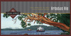 Arbutus_ale_thumb