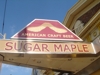 Sugar_maple_thumb