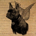 Il_570xn