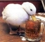 Drunkduck_thumb