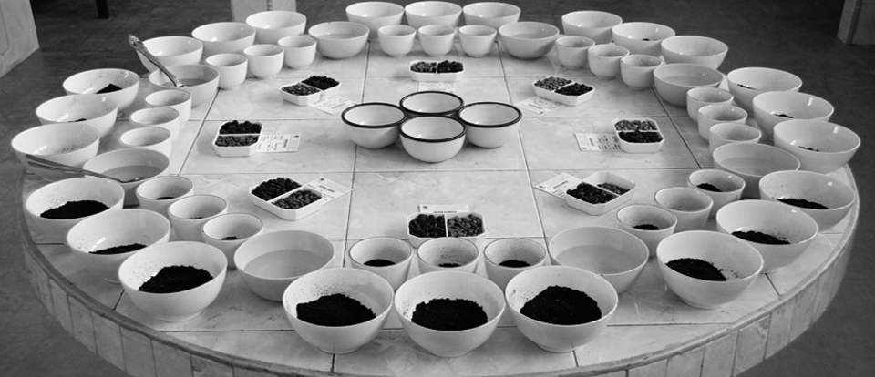 Cupping_resamp