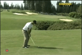 Ogivly shots of the day