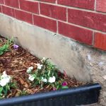 Questions To Ask a Foundation Repair Company in Lenexa Kansas