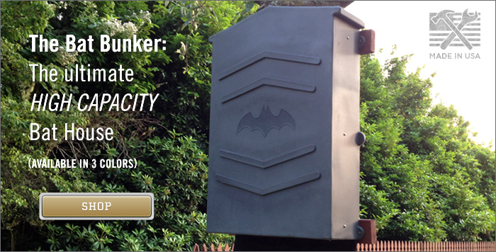 Bat__bunker_slider