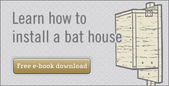 Learn how to install bat house e-book