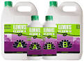 Nutrifield Elements Bloom A+B 1 Liter