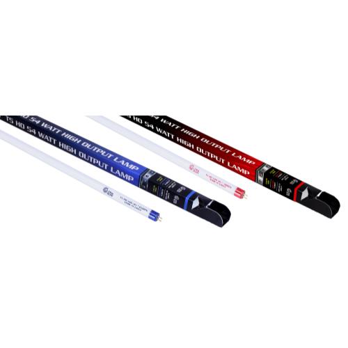 Ultra Sun T5 24 Watt HO Lamp 2 ft Blue 6500K (25/Cs)