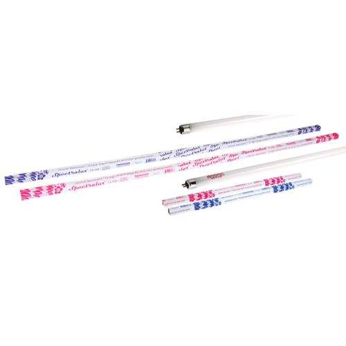 Spectralux T5 24 Watt HO Lamp 2 ft Blue 6500K (25/Cs)