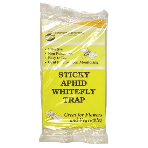 Sticky Whitefly Trap 3/Pack (24/Cs)