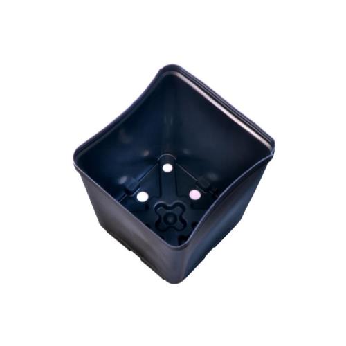 Square Plastic Pot 5.5 in x 5.5 in x 6 in (200/Cs)