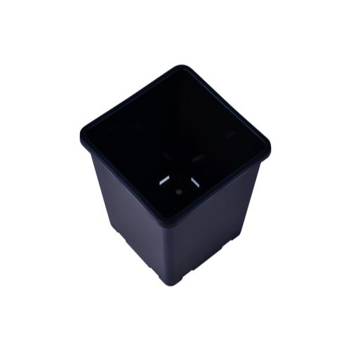 Rose Bucket Black 7.6 in x 7.6 in x 9.7 in (10/Cs)