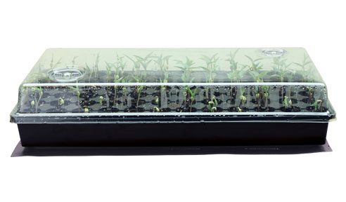 Super Sprouter Heated Germination Kit w/ 2 in Ultra Clear Dome