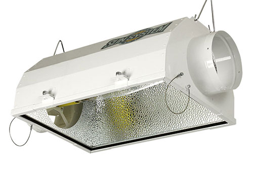 Sun Star 6 in Air-Cooled Reflector (36/Plt)