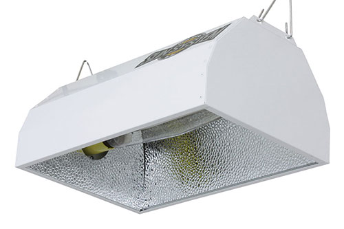 Sun Star Reflector (36/Plt)