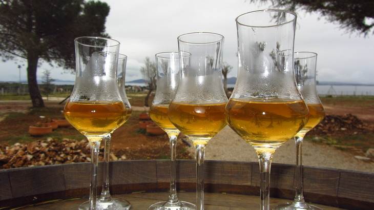 bebidas en croacia