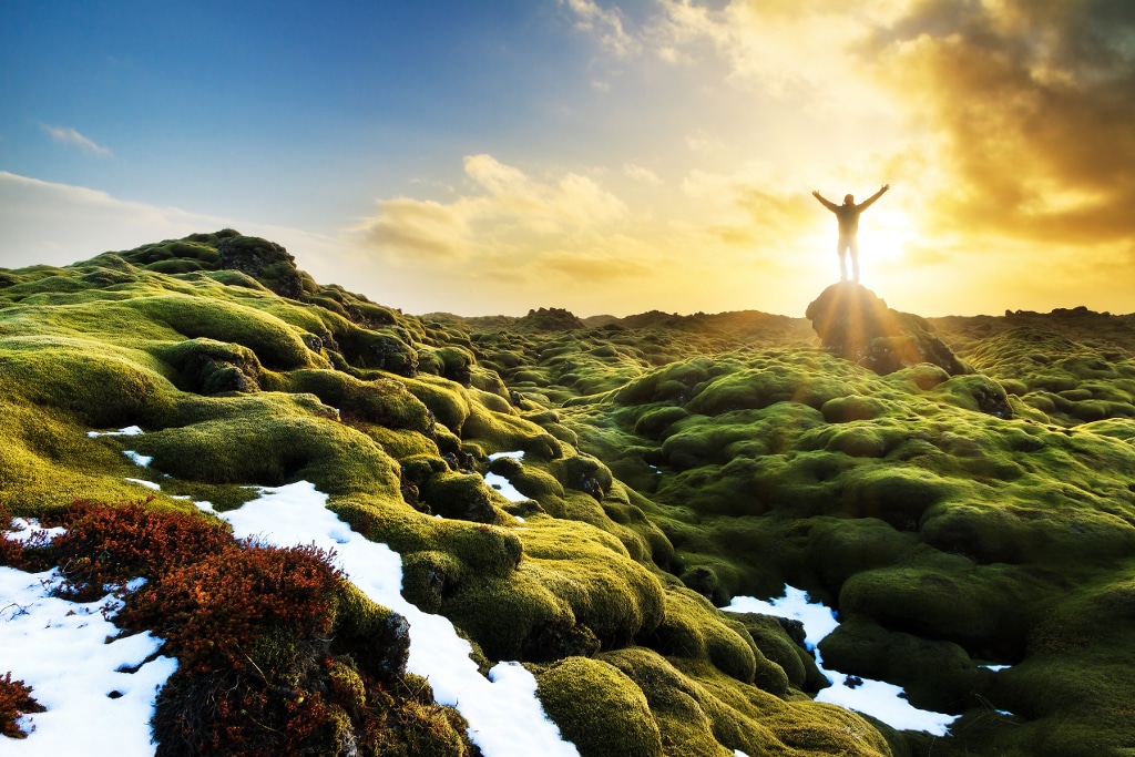 Eldhraun, desierto de lava en el sur de Islandia