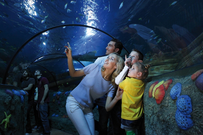 Familia visitando el acuario Gardaland